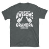 This Is What An Awesome Grandpa Looks Like - T-Shirt - real men t-shirts, Men funny T-shirts, Men sport & fitness Tshirts, Men hoodies & sweats